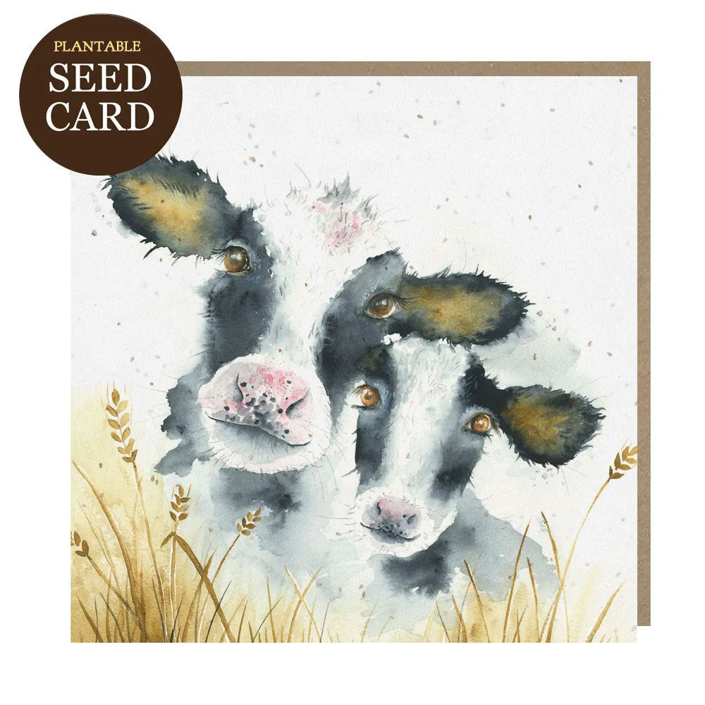 Milk Maids Seed Card