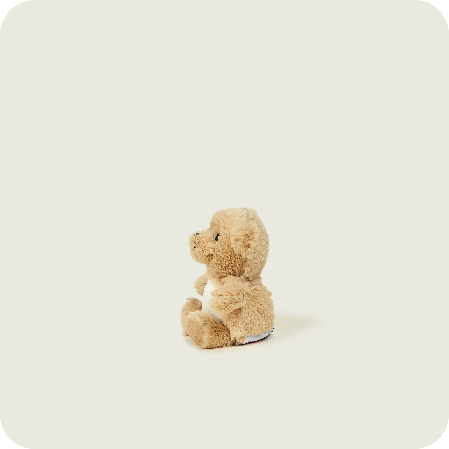 Dusty Pups™ Teddy Bear
