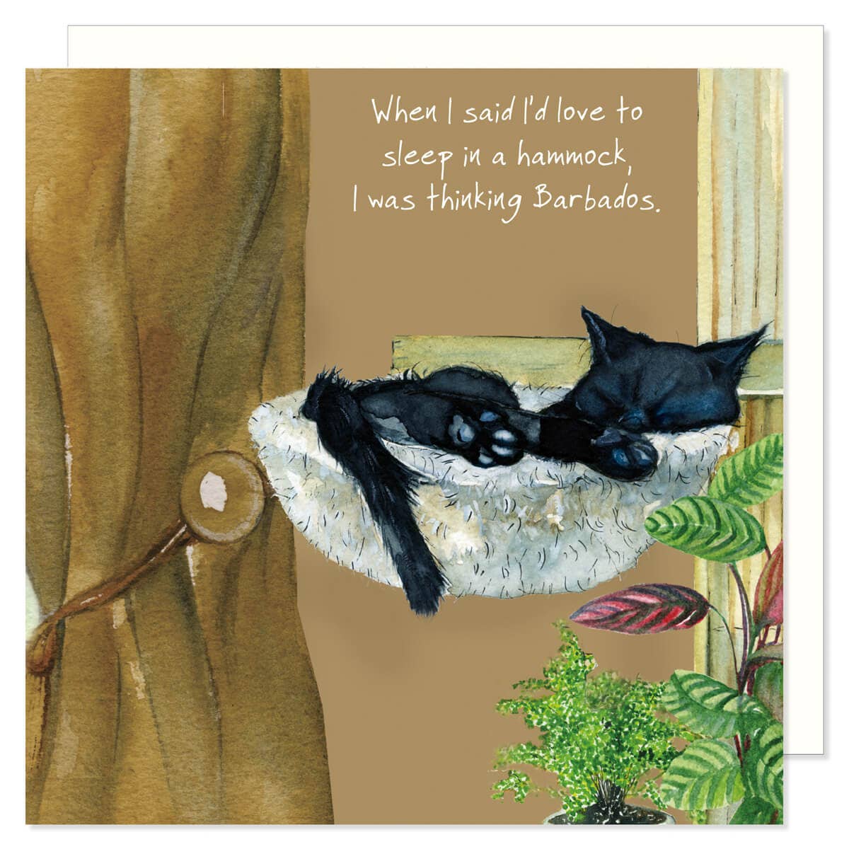 Funny Cat Greeting Card | Cat Greeting Cards