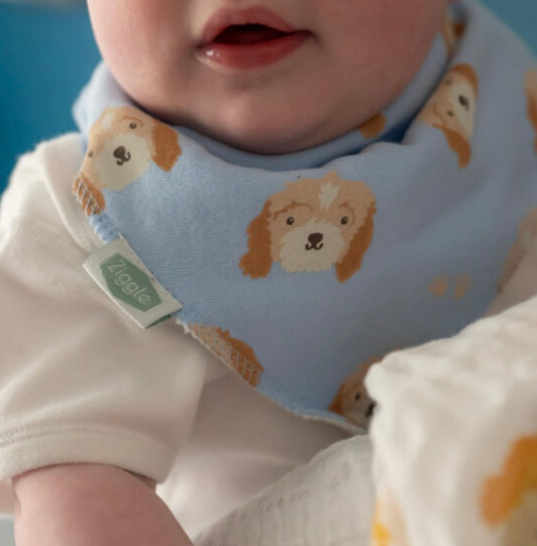 Cockapoo Bib