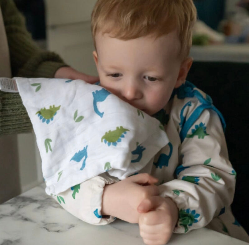 Blues Dinosaurs Washcloths