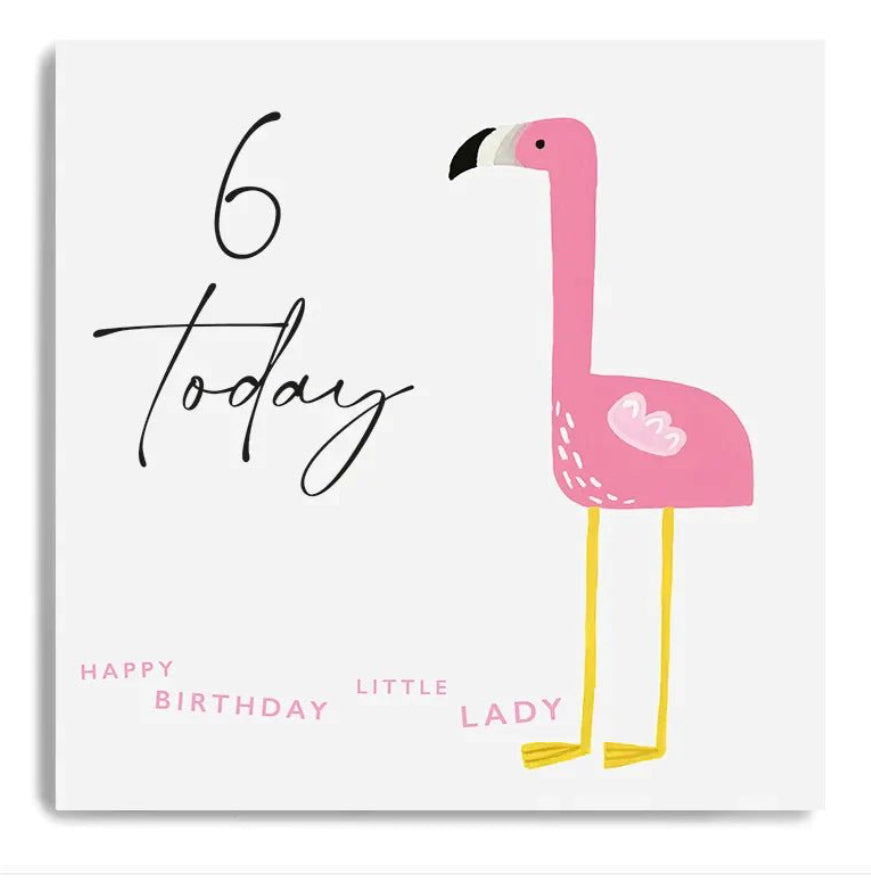 Age 6 Happy Birthday Flamingo