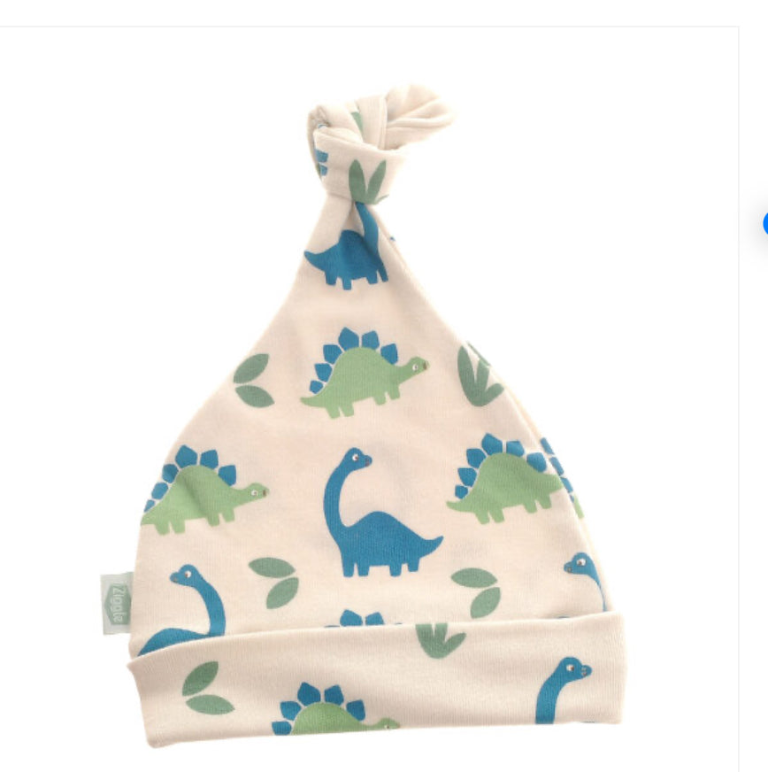 Dino Baby Hat