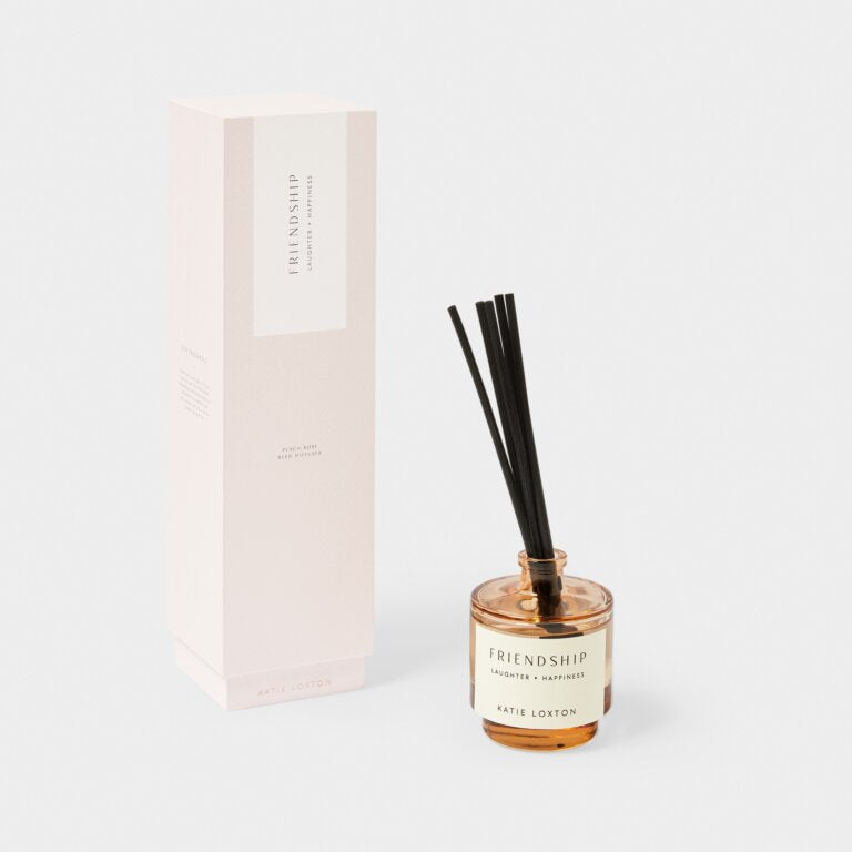 SENTIMENT REED DIFFUSER ‘FRIENDSHIP’