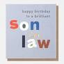 Happy Birthday Brilliant Son in Law