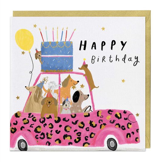 Party dog birthday Card