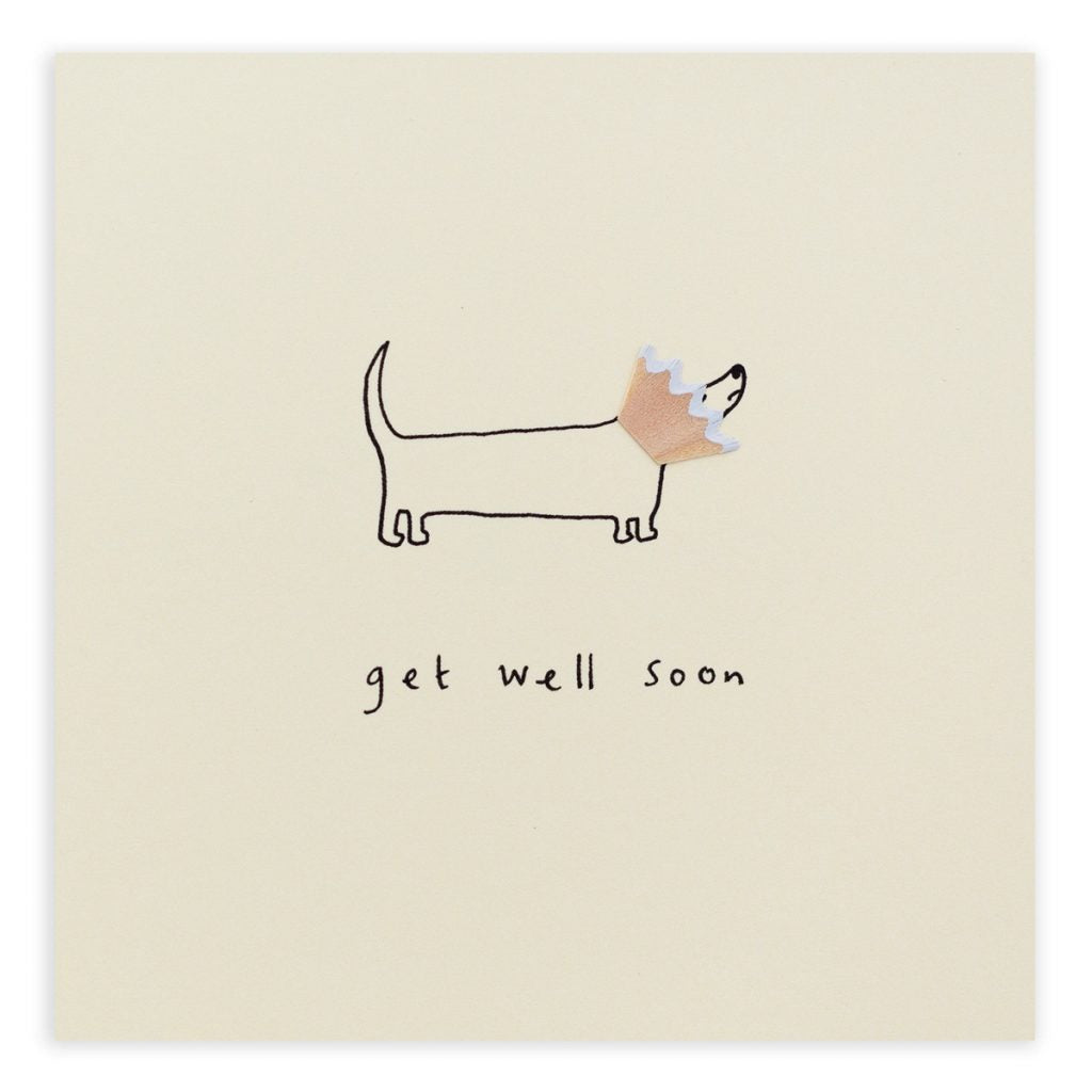 Get Well Dog Cone