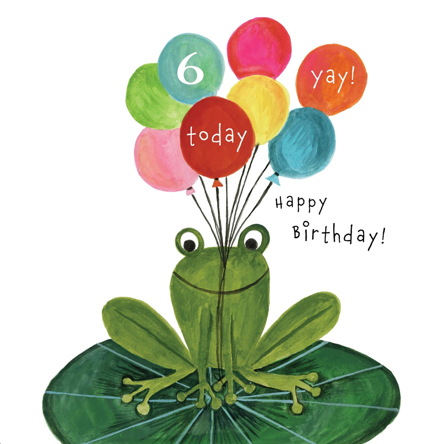 Age 6 Happy Birthday Frog