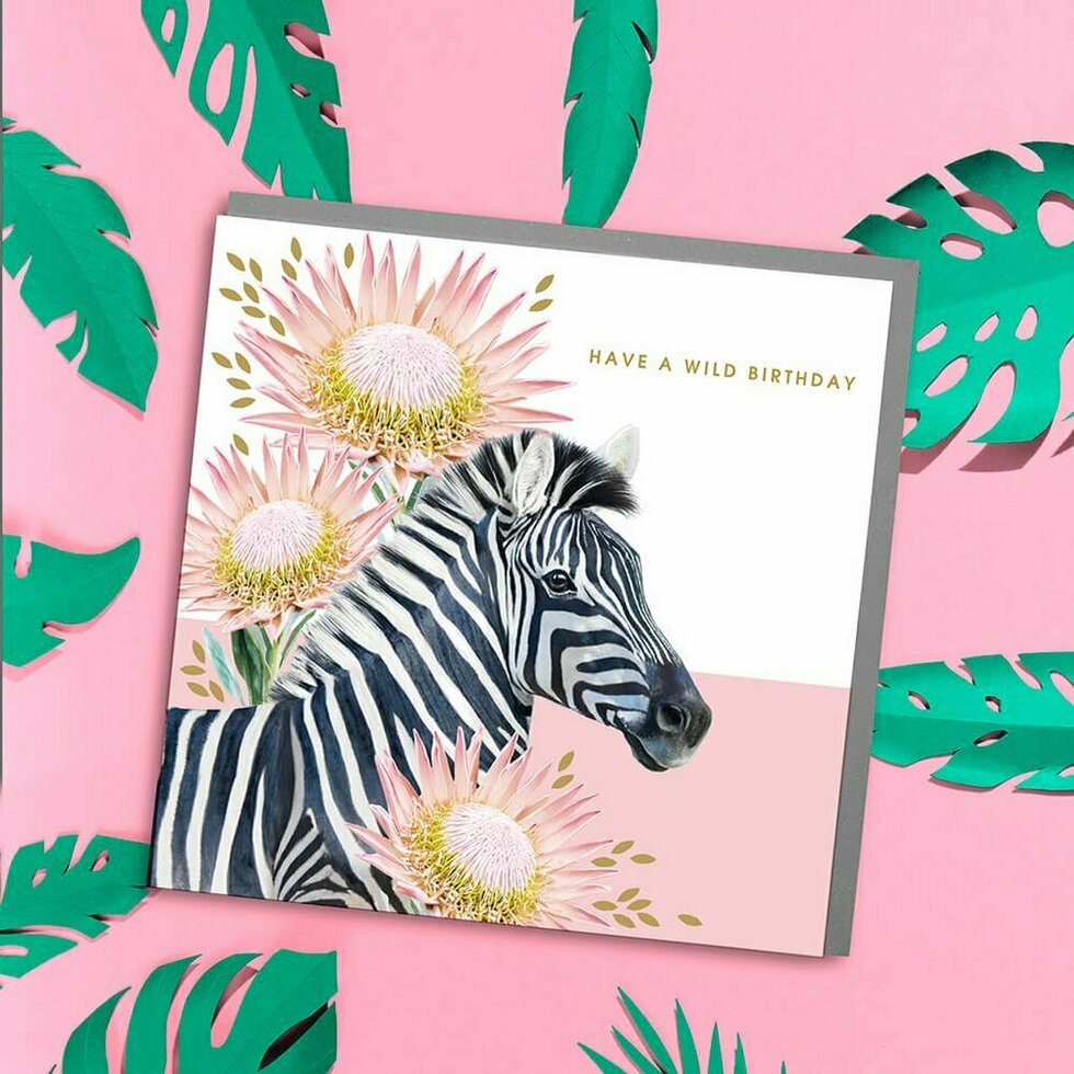 Safari Zebra Wild Birthday