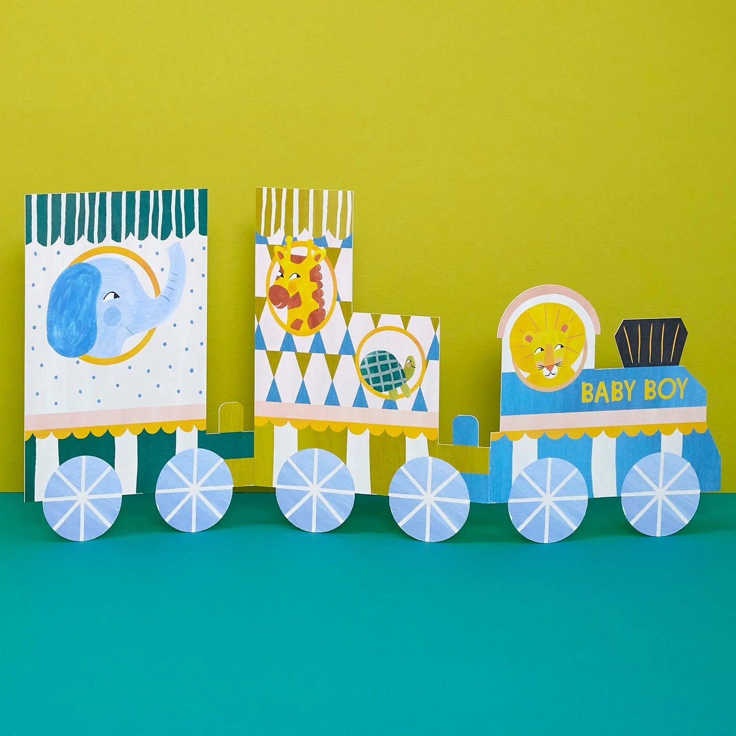 Baby Boy Concertina fold out