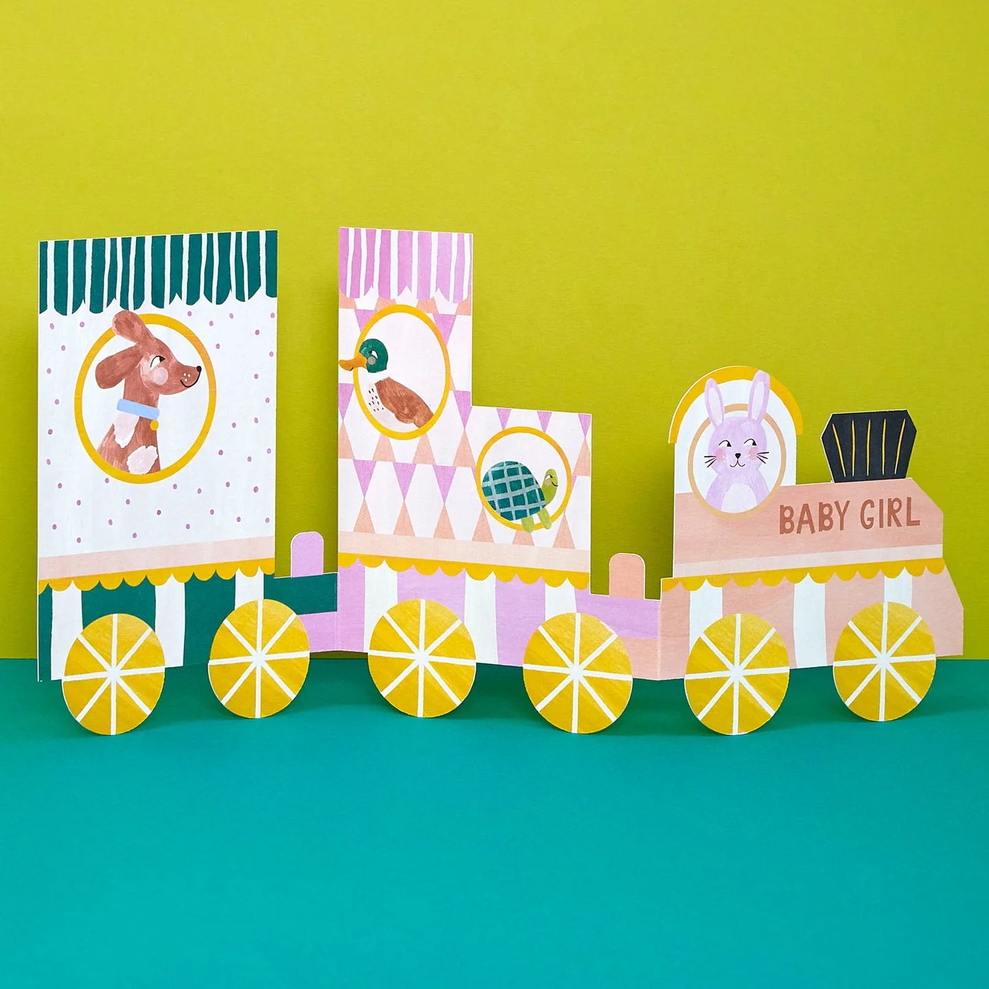 Baby Girl Concertina fold out