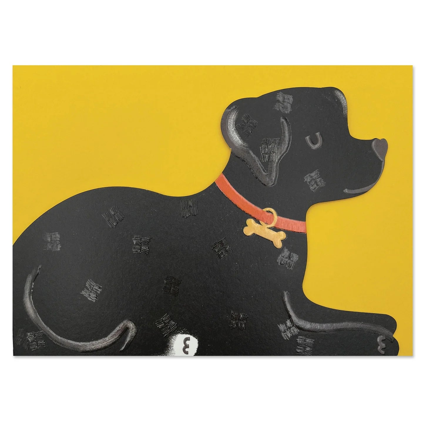 Black Labrador