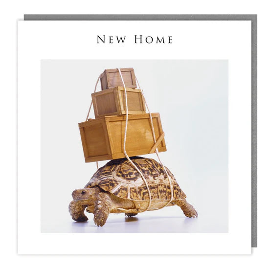 New Home Boxes