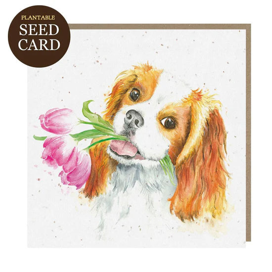 Seed Card Puppy