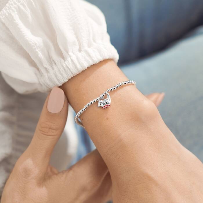 A little ROBINS APPEAR - Bracelet
