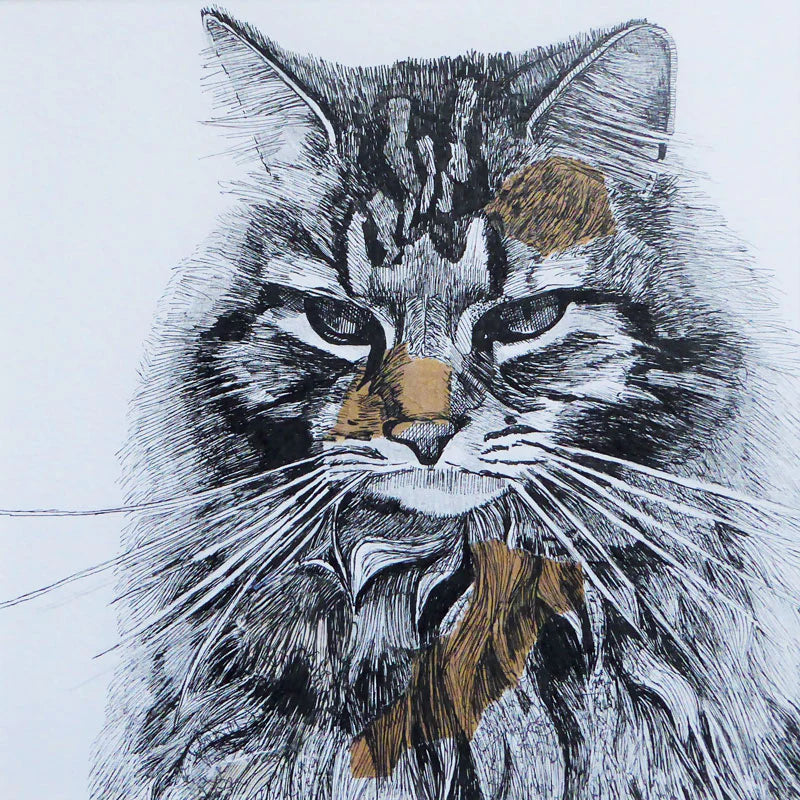 Polly the Cat
