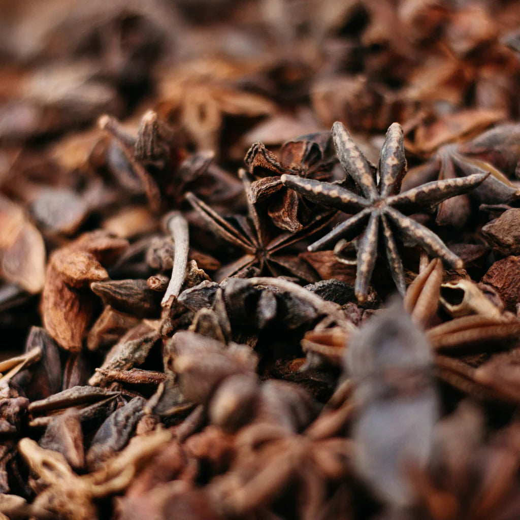 Pot - Christmas Alchemy Orange and cinnamon