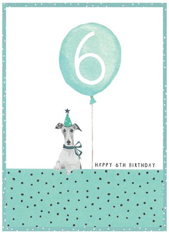 Age 6 - 6th Birthday