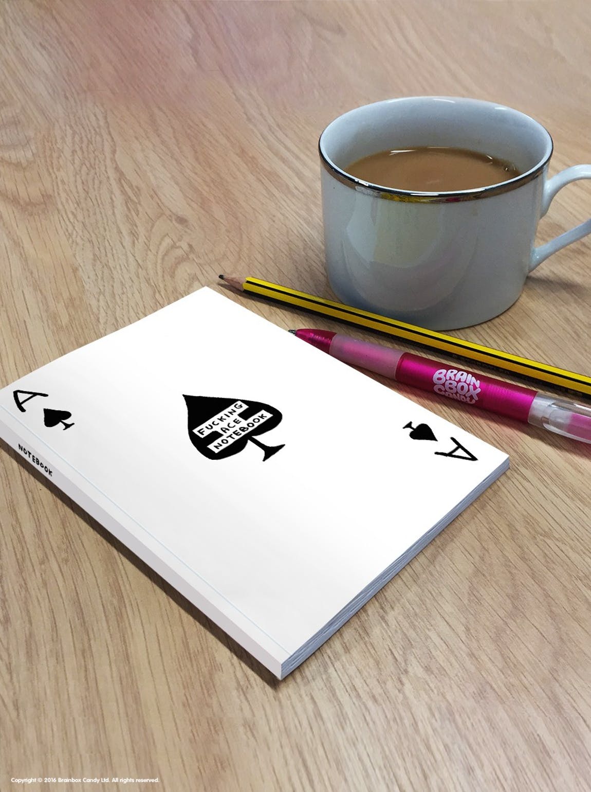 DAVID SHRIGLEY F**ing ACE A6 NOTEBOOK