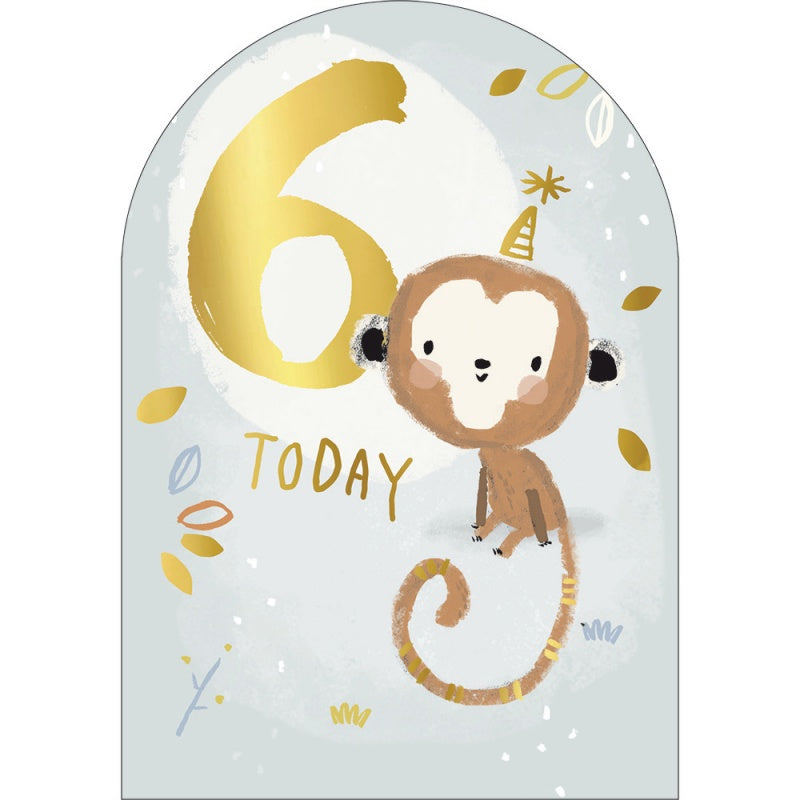 Age 6 Monkey