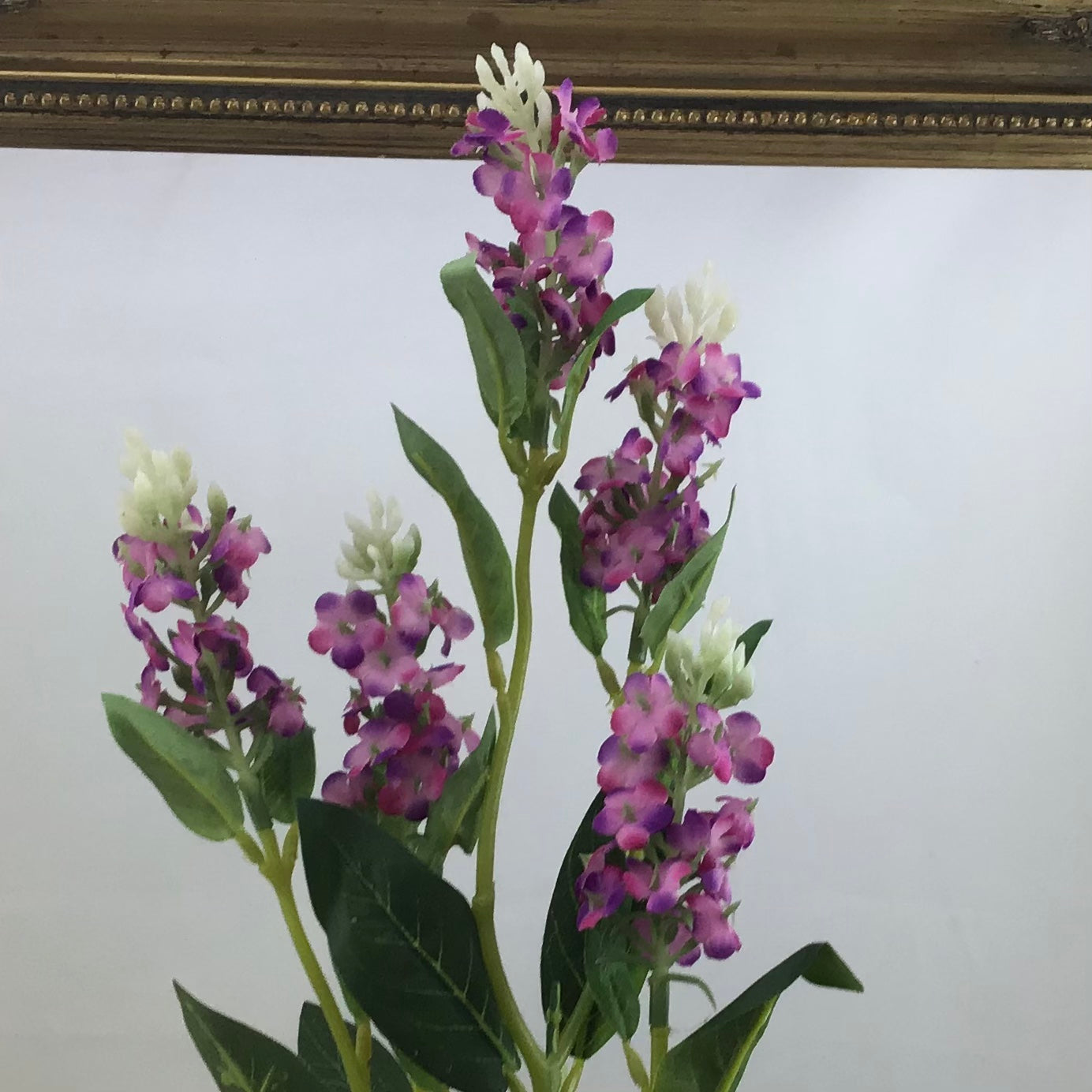 Wild Meadow Spray Heads Cerise Pink