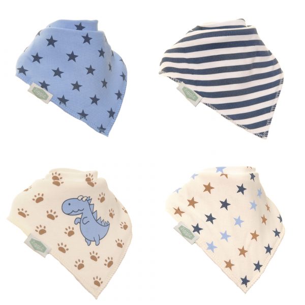 Dino and Stars Boxed Bib Set