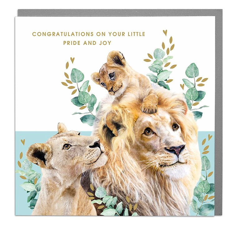 Congratulations on Your Little Pride and Joy - Lions