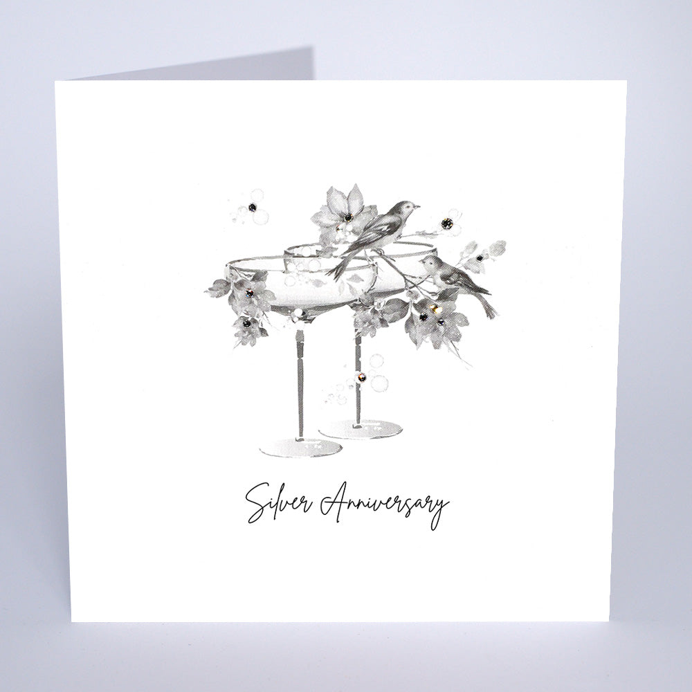 Silver Anniversary