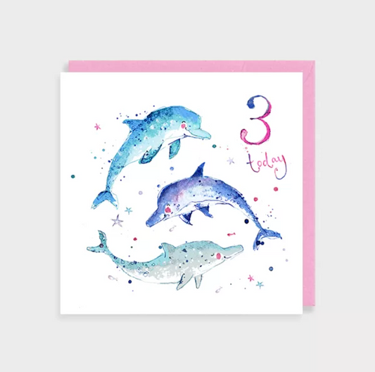 Age 3 Dolphins