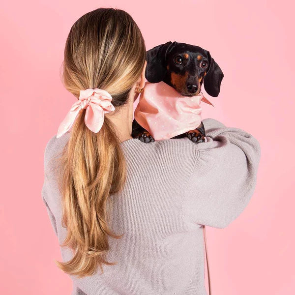 DOG BANDANA & SCRUNCHIE SET PINK