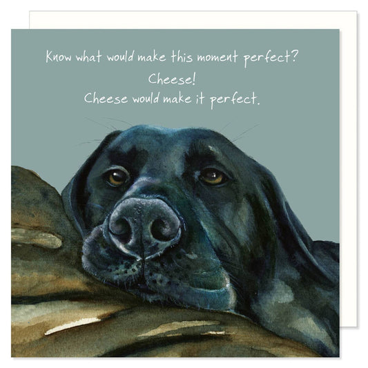 Cheese Loving Black Labrador Greeting Card
