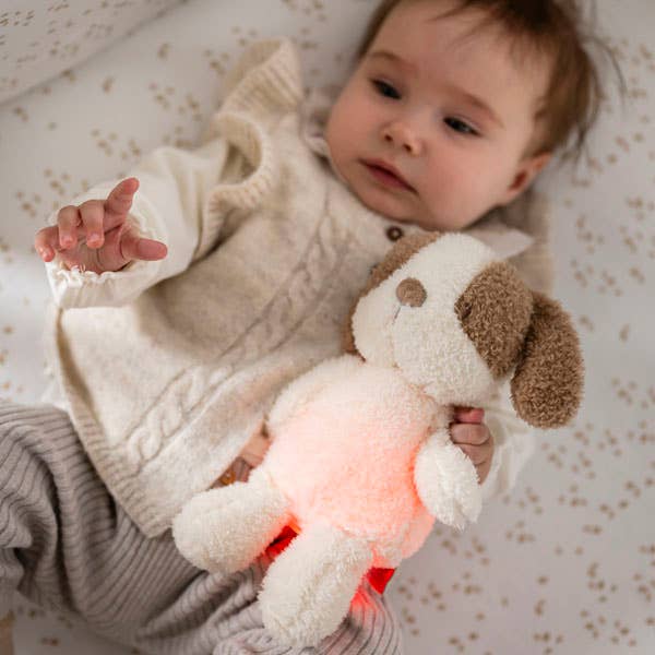 Nattou Mini Cuddly Dog Nightlight Teddy Vanilla