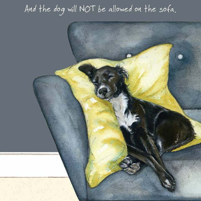 Not Sofa Greeting Card