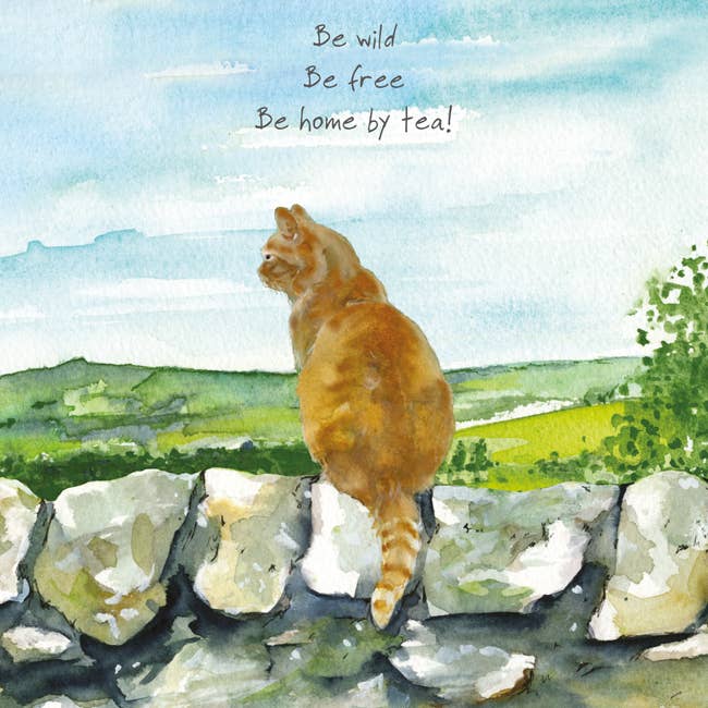 Country Cat Greeting Card