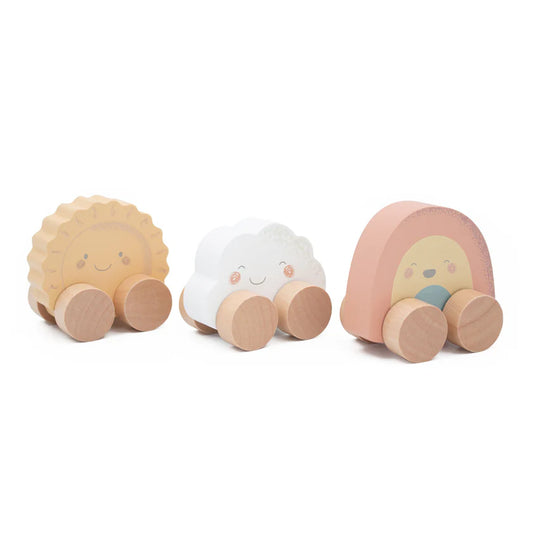 Mini push along friends set 3