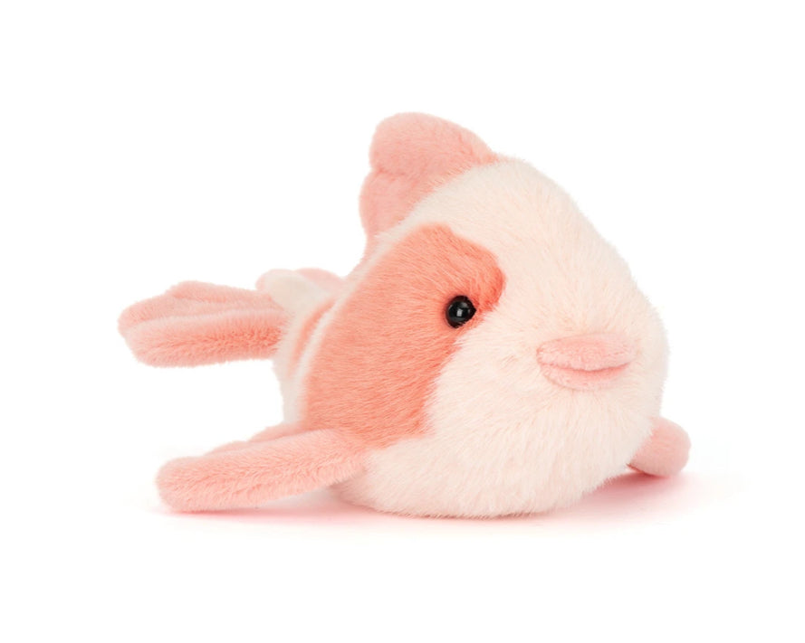 Fancy Carp