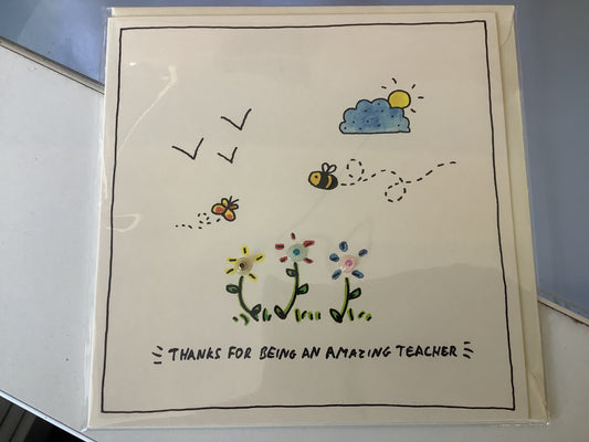 Thanks for being an amazing Teacher