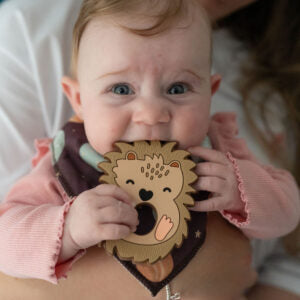Silicone Hedgehog Teether