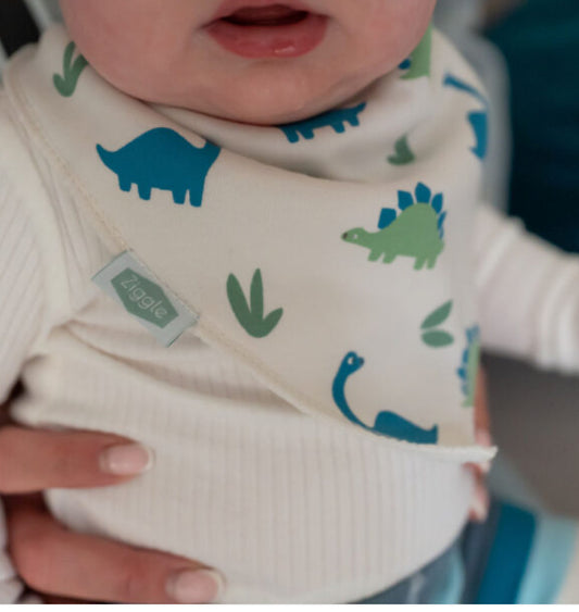 Blue Dino Bib