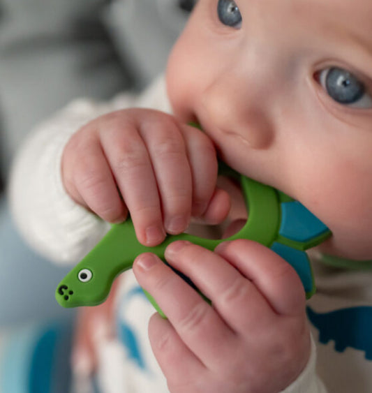 Silicone Dinosaur Teether