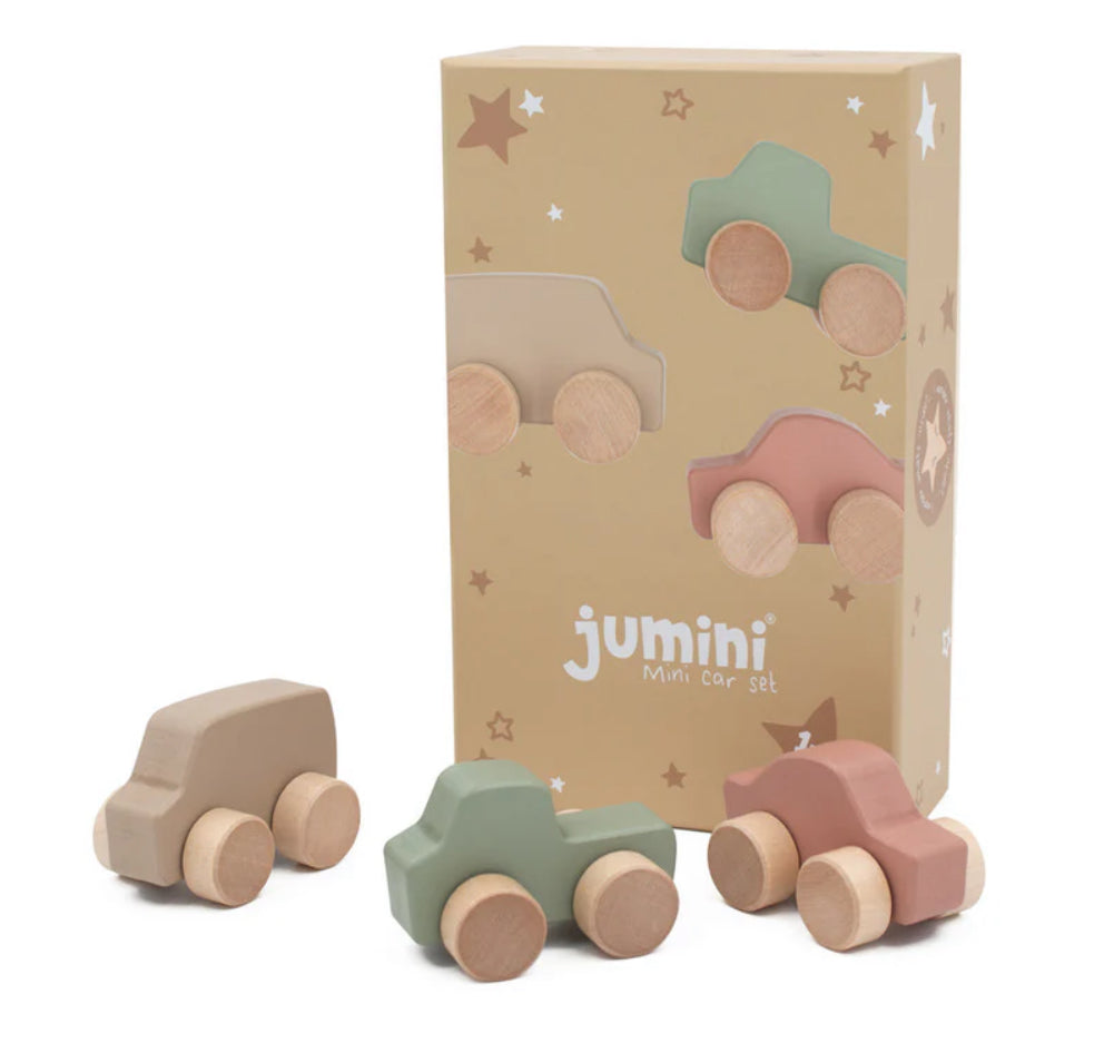 Mini Car Set