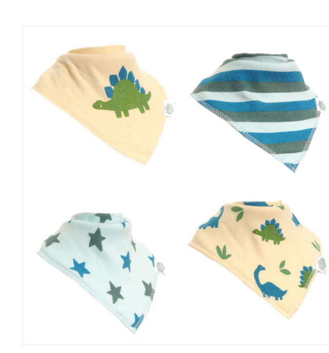 Dino and Stars Boxed Bib Set
