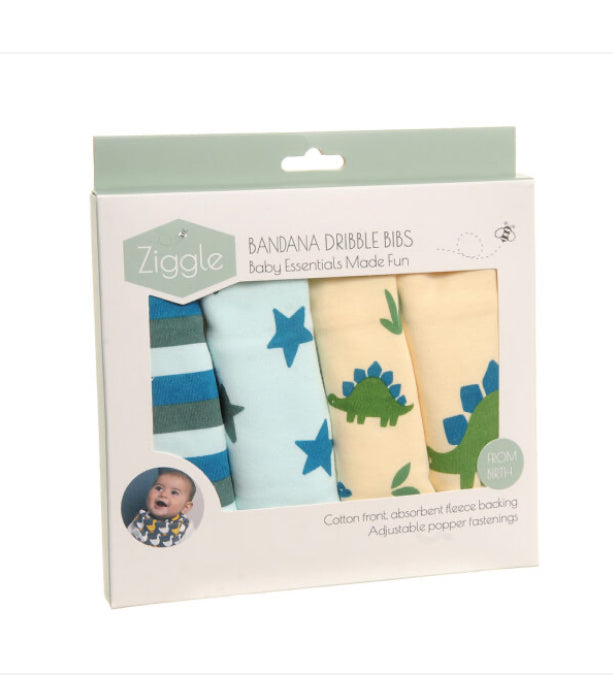 Dino and Stars Boxed Bib Set