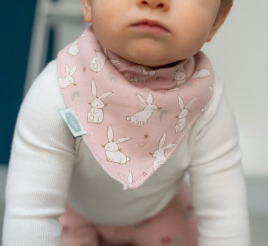 Bunnies on Pink Bib