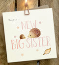 New Big Sister