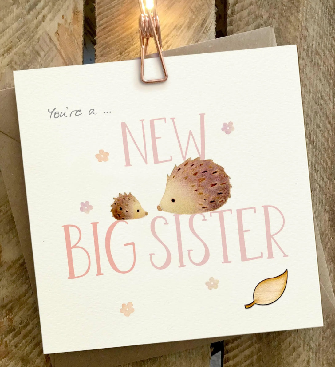 New Big Sister