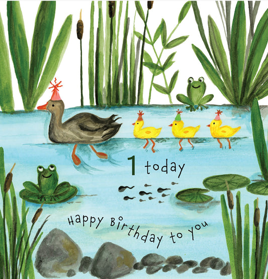 Age 1 Happy Birthday Ducks