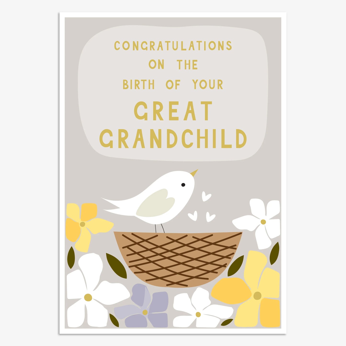 New Great Grandchild