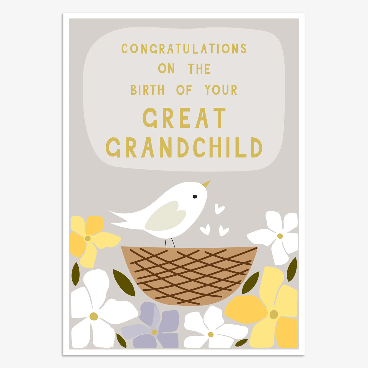 New Great Grandchild