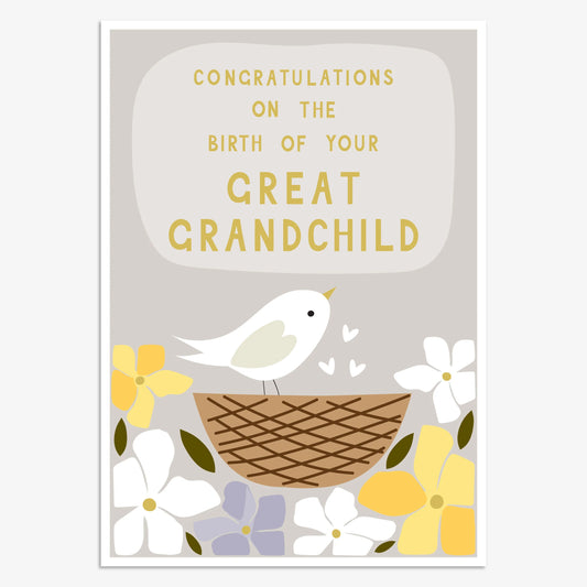 New Great Grandchild